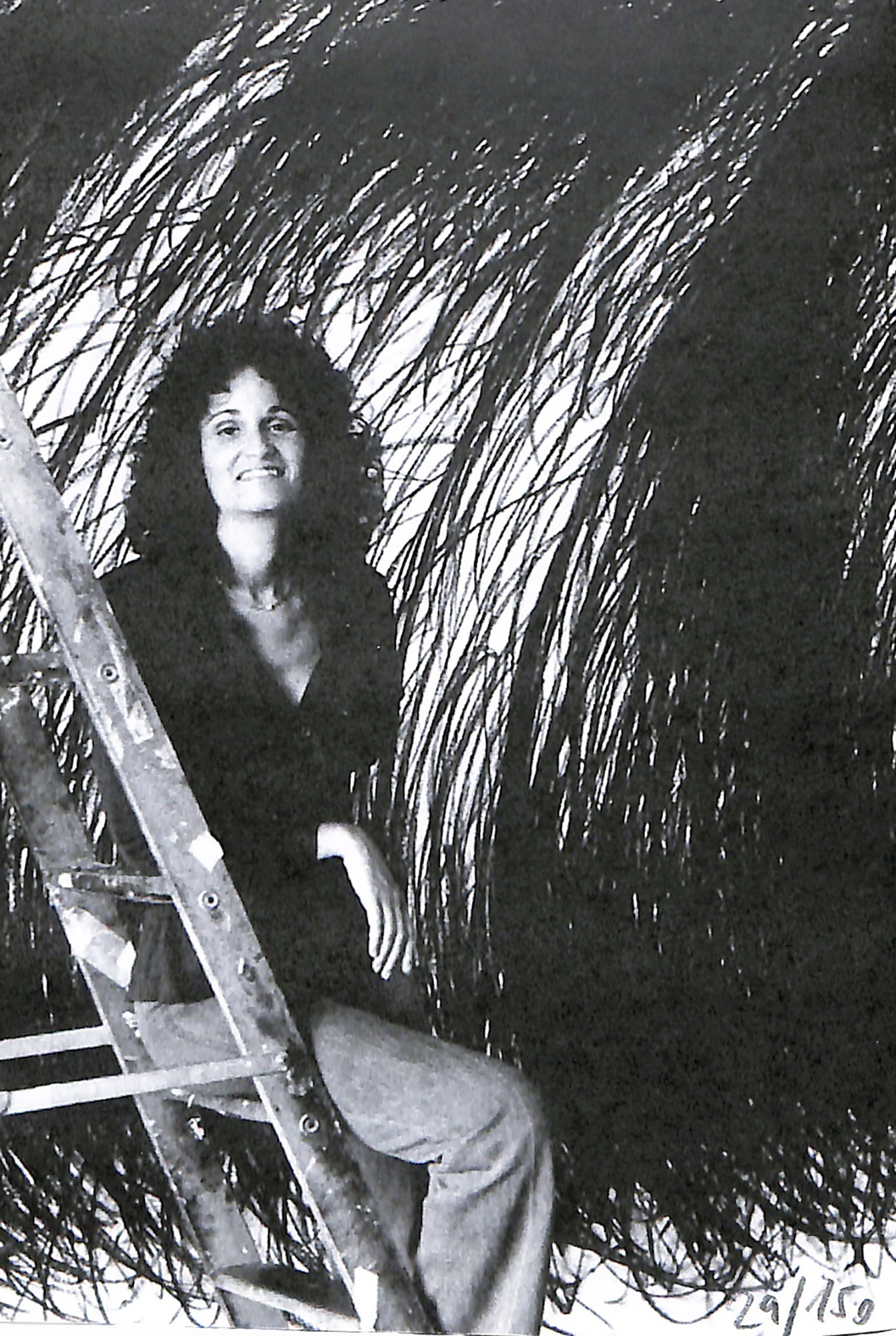 JUDITH BERNSTEIN / Hard