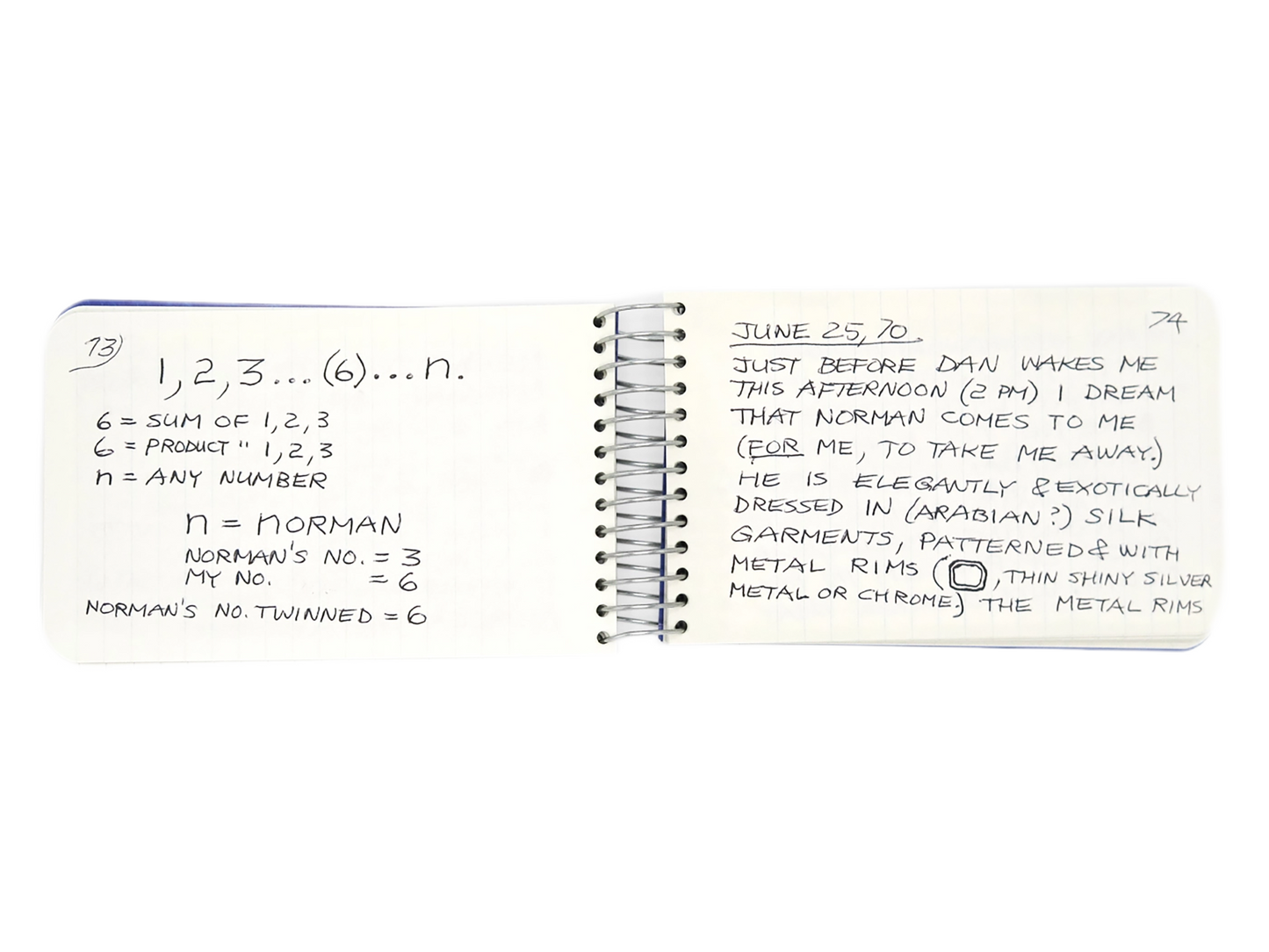 LEE LOZANO / Private book #9