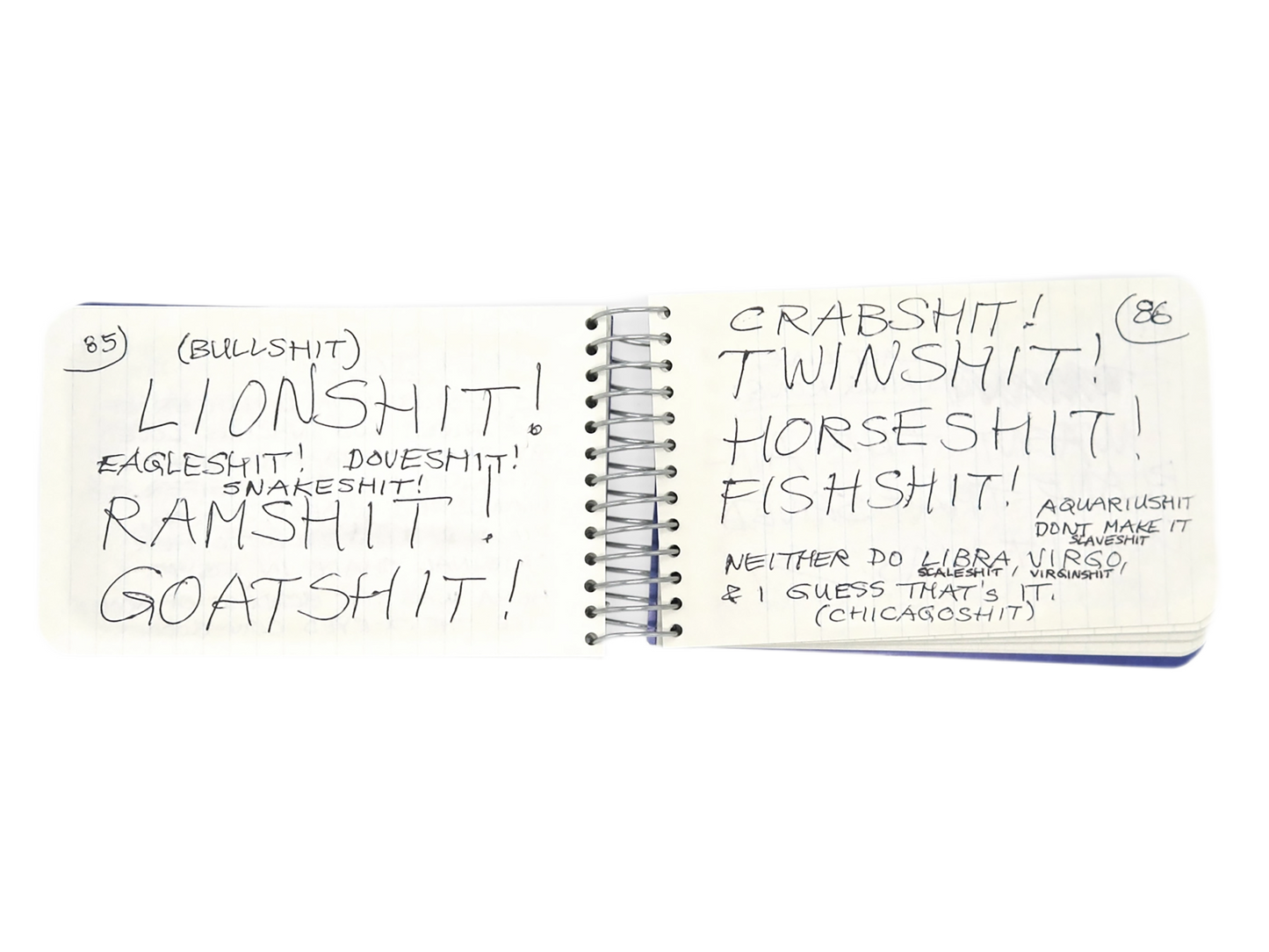 LEE LOZANO / Private book #9