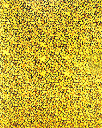 CHRISTOPHER WOOL / Cats in Bag, Bags in River