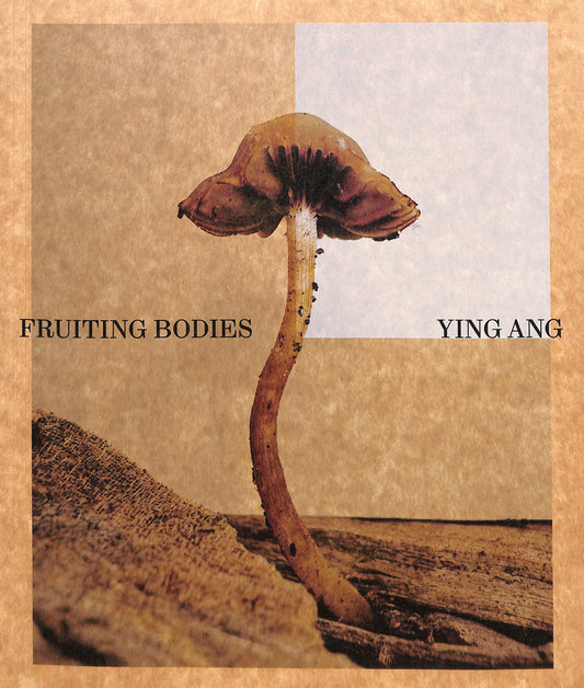 YING ANG / Fruiting Bodies