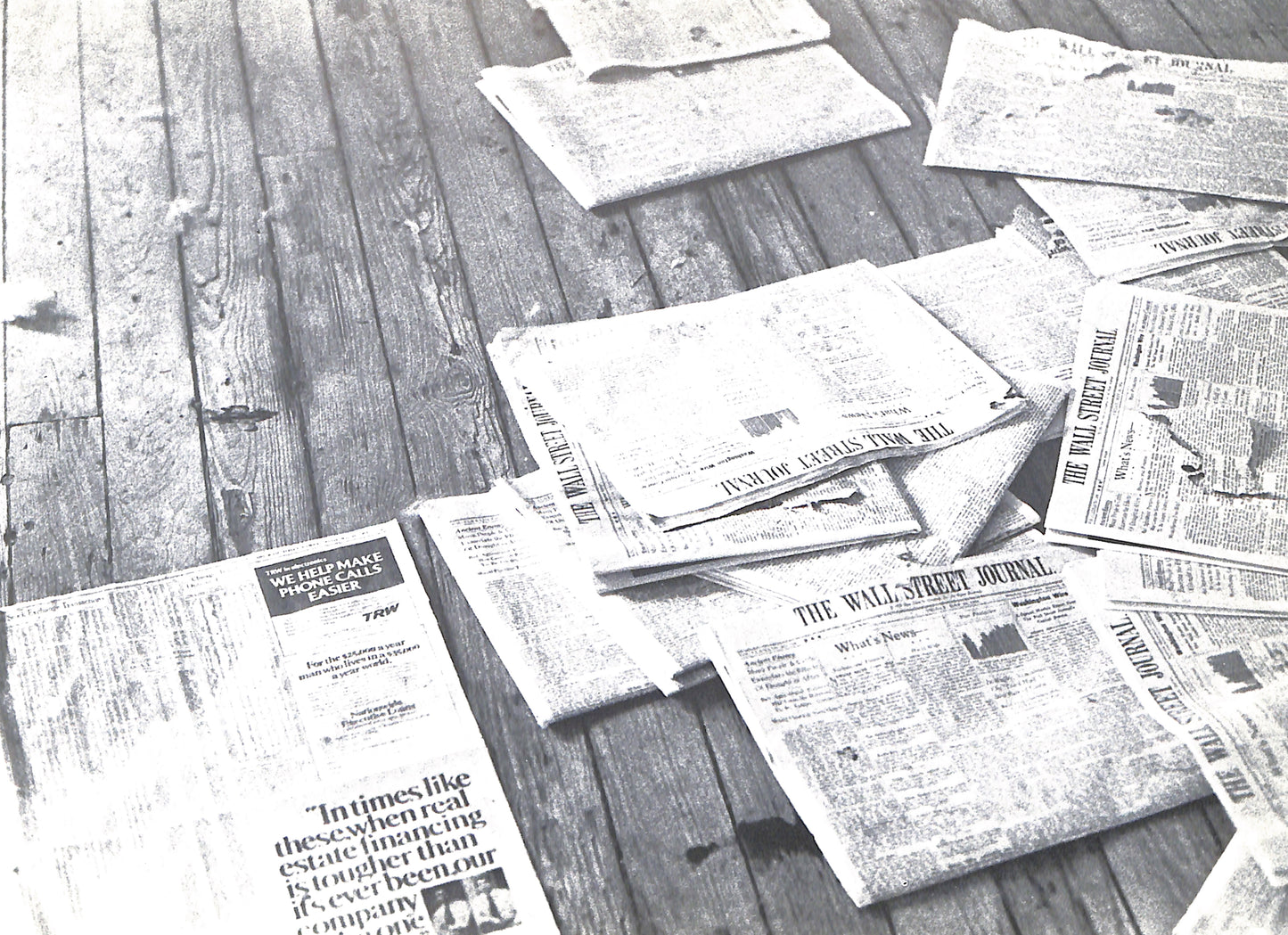 CAROLINE TISDALL / JOSEPH BEUYS: COYOTE