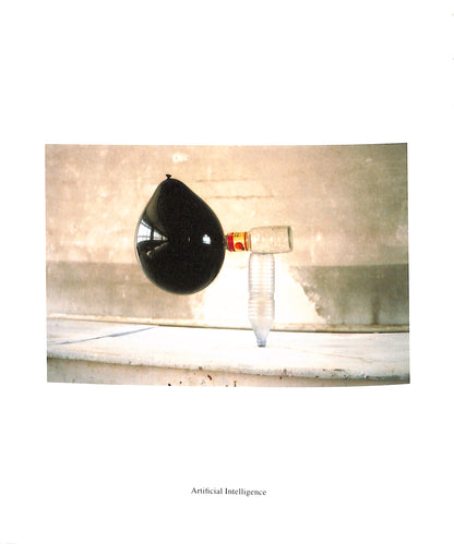 PETER FISCHLI & DAVID WEISS / EQUILIBRES