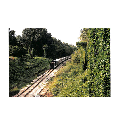 JIM JARMUSCH & MASAYOSHI SUKITA / MYSTERY TRAIN