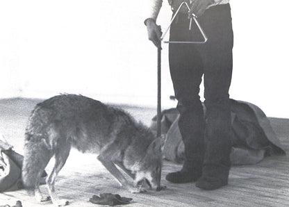 CAROLINE TISDALL / JOSEPH BEUYS: COYOTE