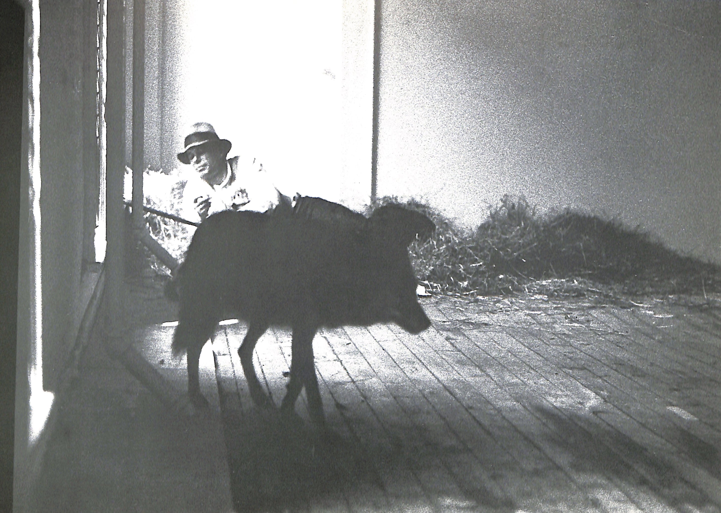TISDALL / JOSEPH BEUYS COYOTE - Landslide Books