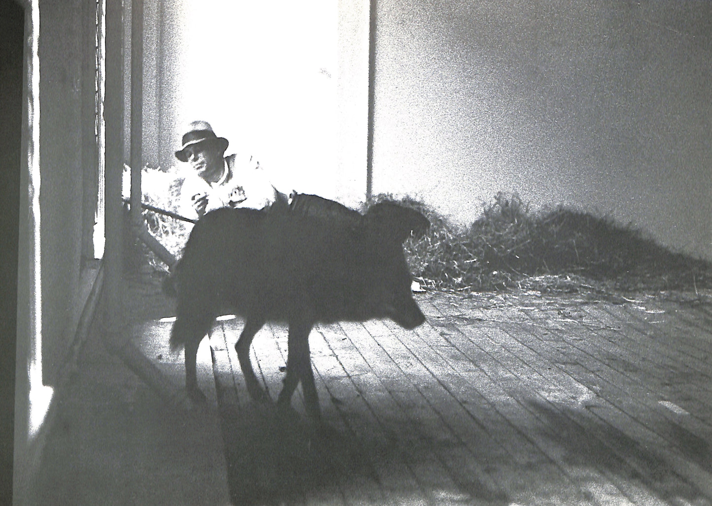 CAROLINE TISDALL / JOSEPH BEUYS: COYOTE