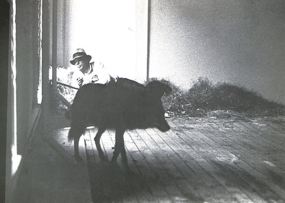 CAROLINE TISDALL / JOSEPH BEUYS: COYOTE