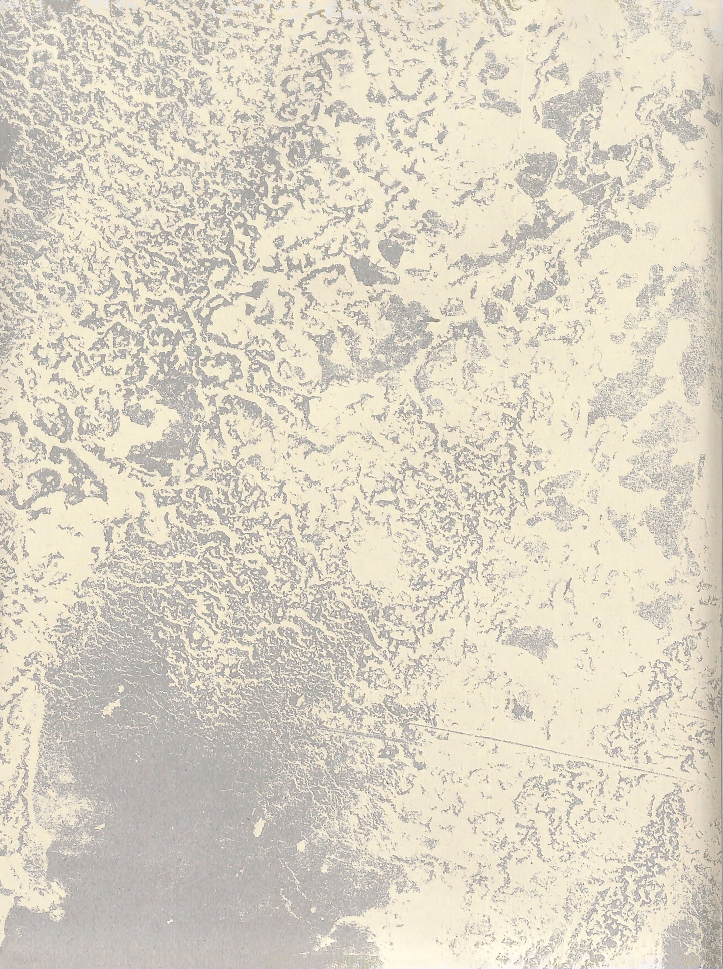 YUSUKE YAMATANI / Onsen I