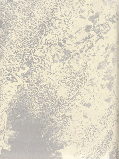 YUSUKE YAMATANI / Onsen I