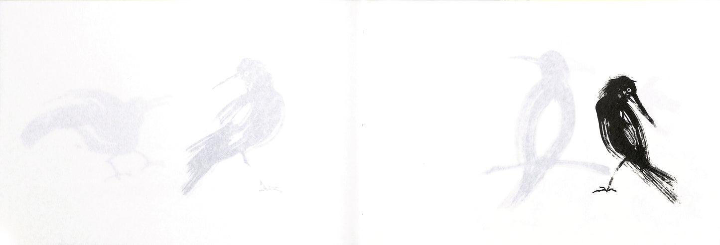 SEIGOW MATSUOKA / Birds