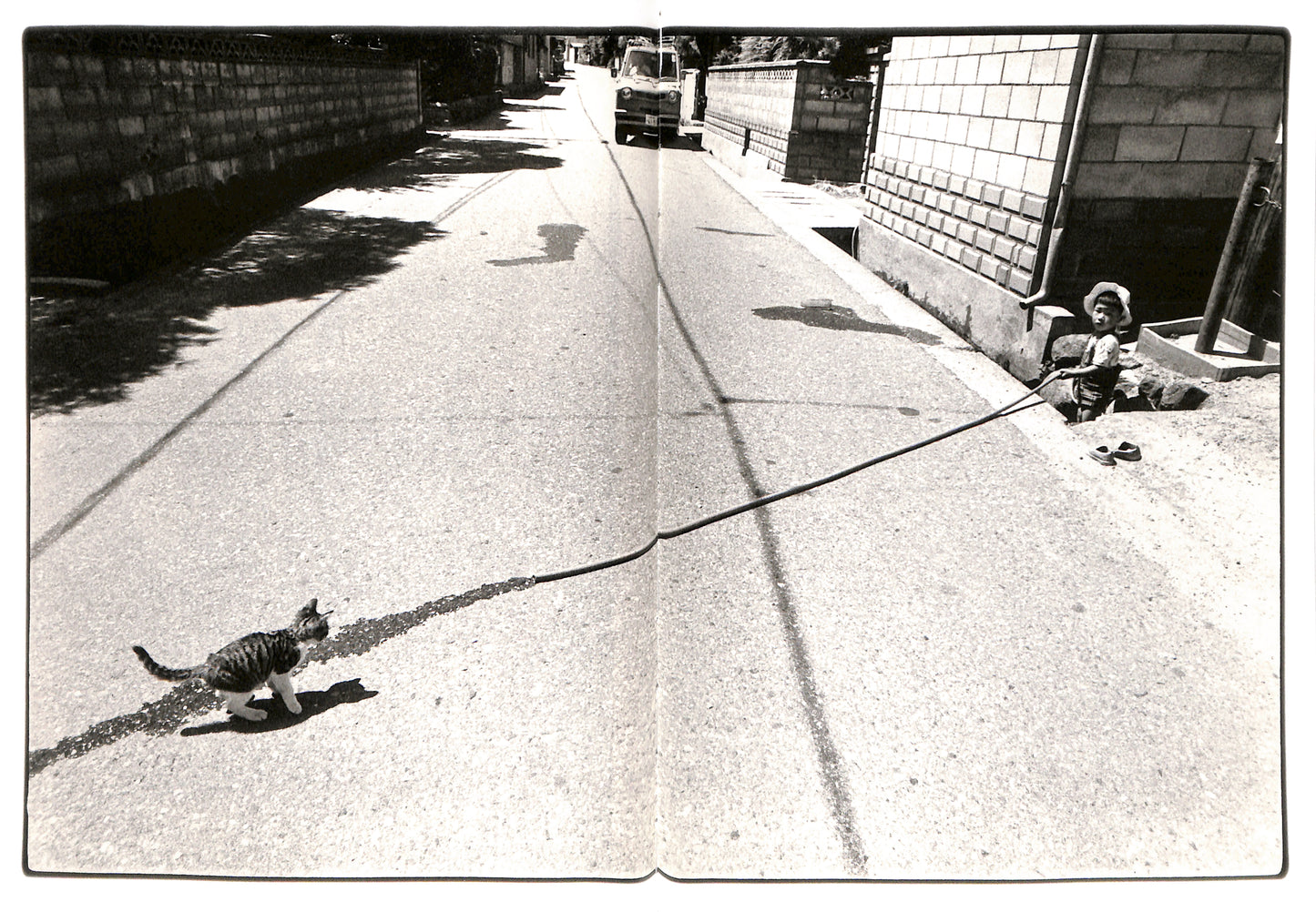 MASAHISA FUKASE / Sasuke