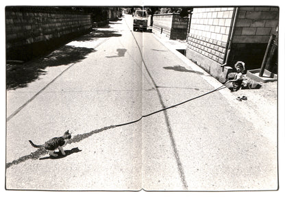 MASAHISA FUKASE / Sasuke