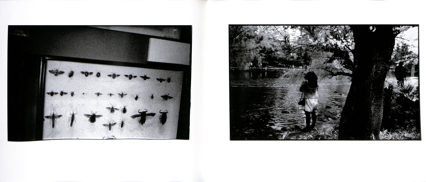 MASAKAZU MURAKAMI / Dream Within a Dream