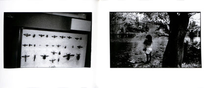 MASAKAZU MURAKAMI / Dream Within a Dream