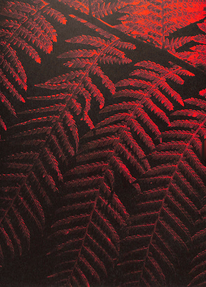 JULIAN CHARRIÈRE / Controlled Burn