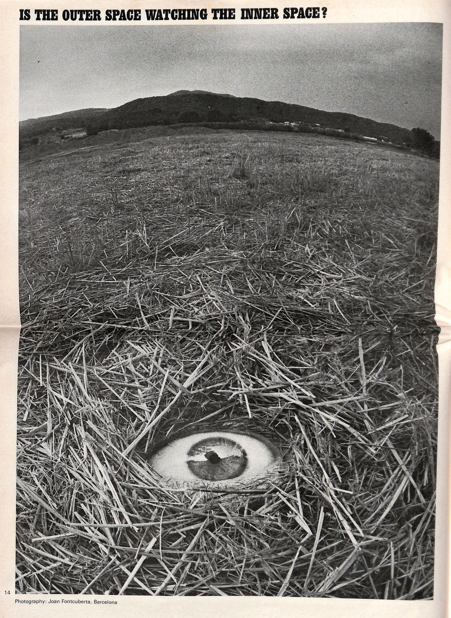 THE VILLAGE CRY / No. 5: Unidentified flying objects