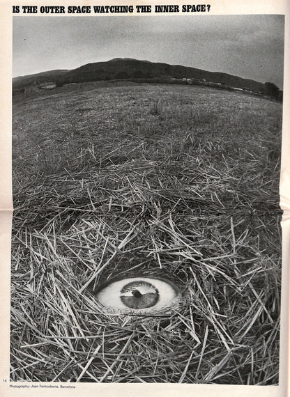 THE VILLAGE CRY / No. 5: Unidentified flying objects