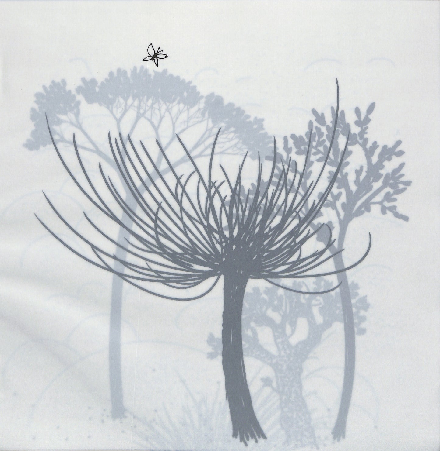 BRUNO MUNARI / La Favola delle Favole