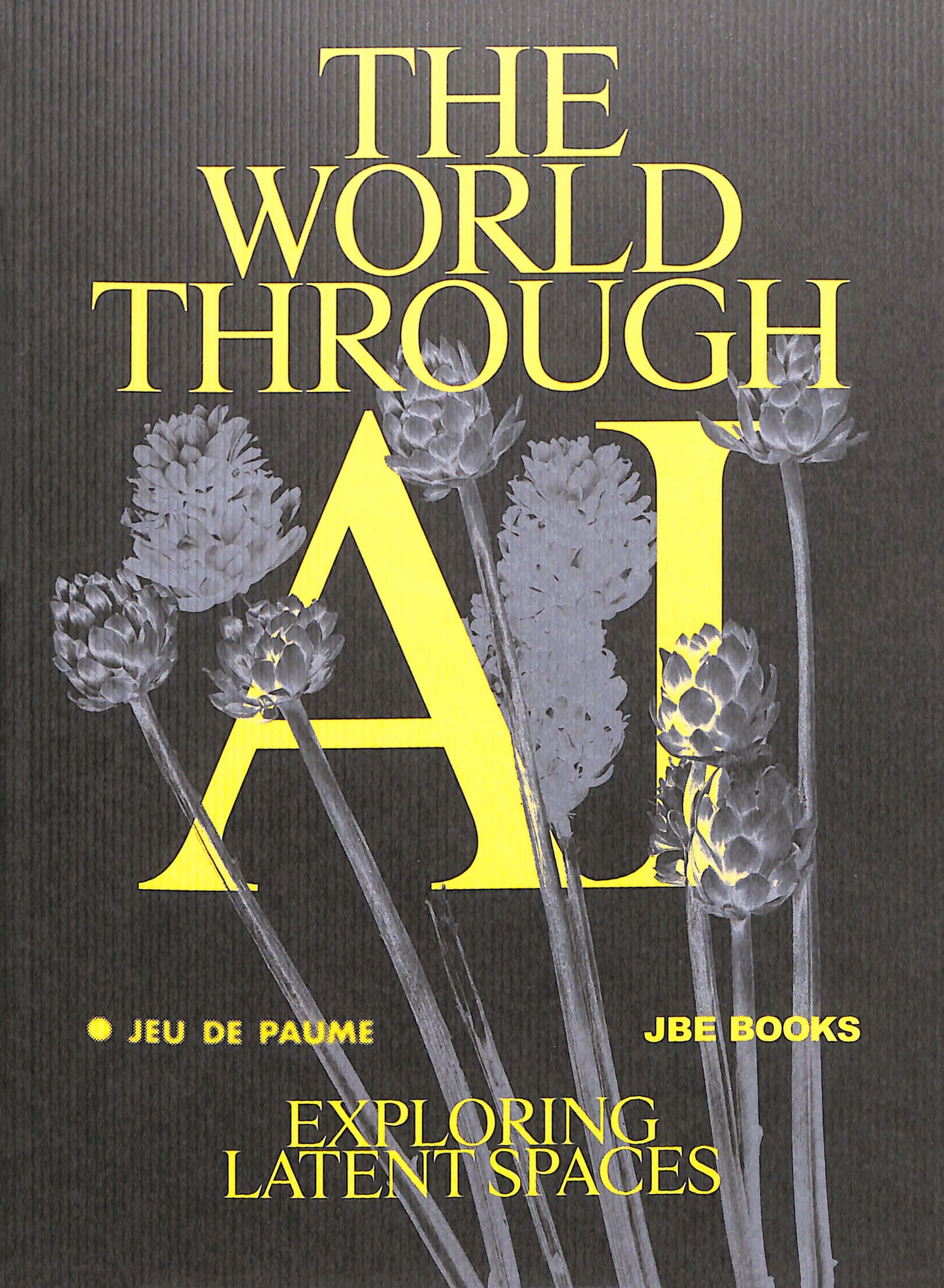 ANTONIO SOMAINI / The World Through AI