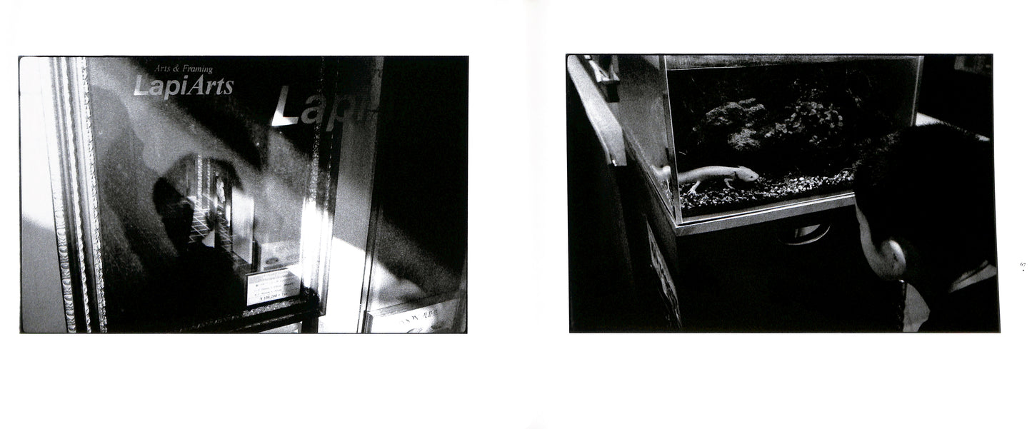 MASAKAZU MURAKAMI / Dream Within a Dream