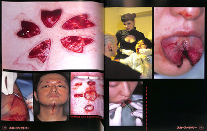 RYOICHI MAEDA / Scar Factory