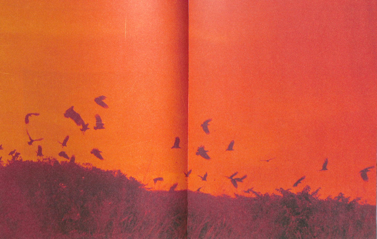 ADÉL KOLESZÁR / Only Have Faith