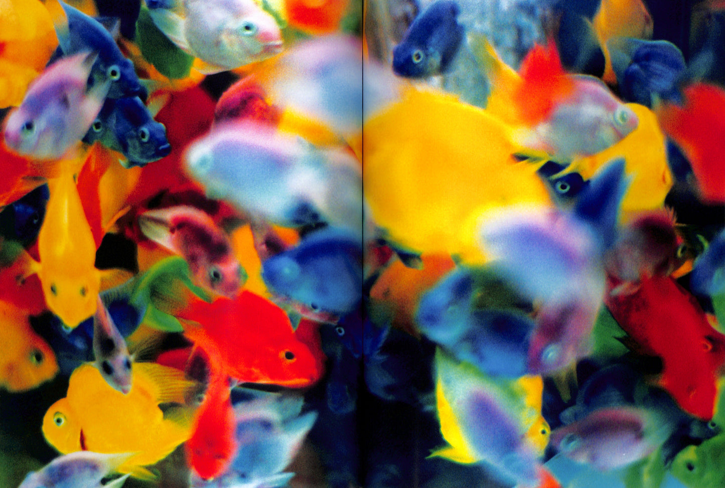 MIKA NINAGAWA / Eternity in a Moment Vol. 1