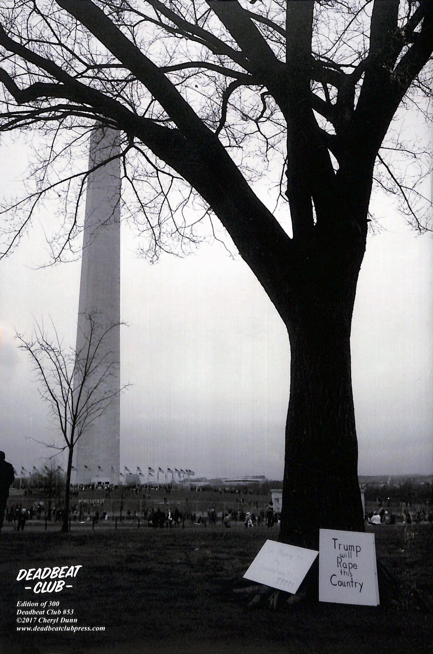 CHERYL DUNN / This is what democracy looks like