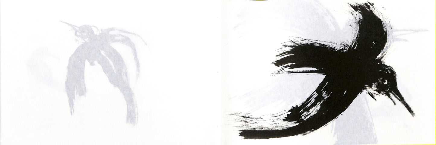 SEIGOW MATSUOKA / Birds