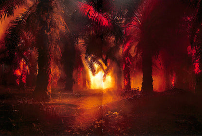 JULIAN CHARRIÈRE / Controlled Burn