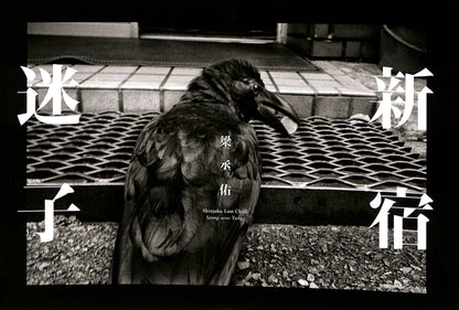 SEUNG-WOO YANG / Shinjuku Lost Child