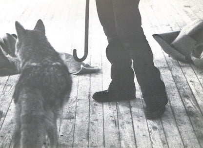CAROLINE TISDALL / JOSEPH BEUYS: COYOTE
