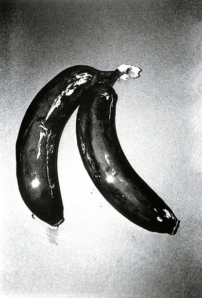 DAIDO MORIYAMA / Imitations