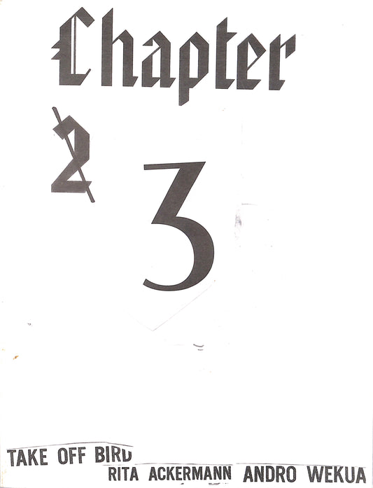 RITA ACKERMANN & ANDRO WEKUA / CHAPTER 3: TAKE OFF BIRD