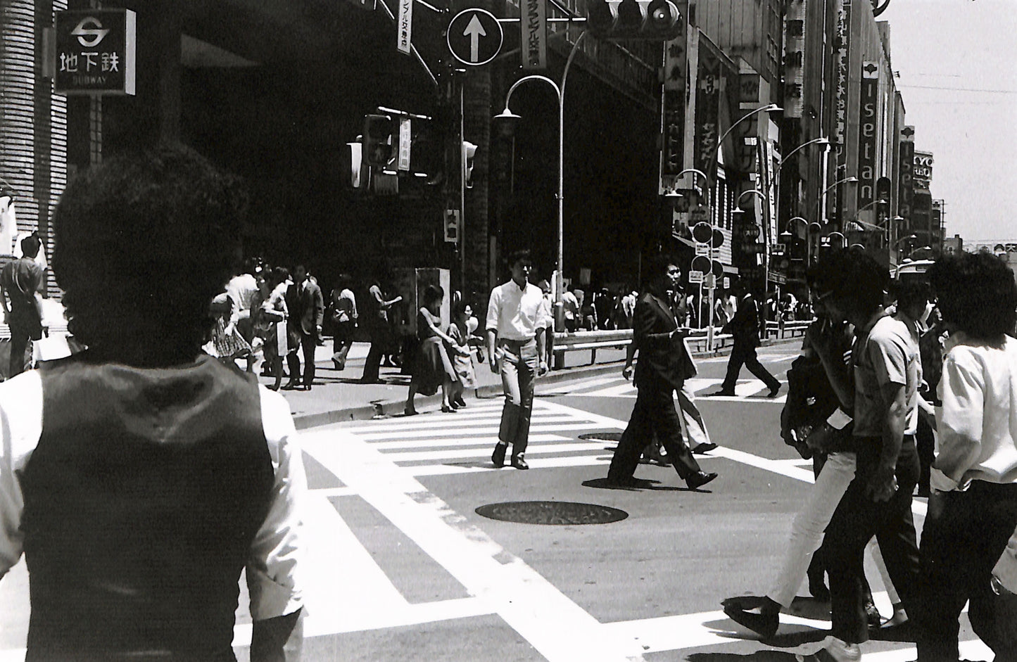 NOBUYOSHI ARAKI / Last Year's Photographs (Special Edition)