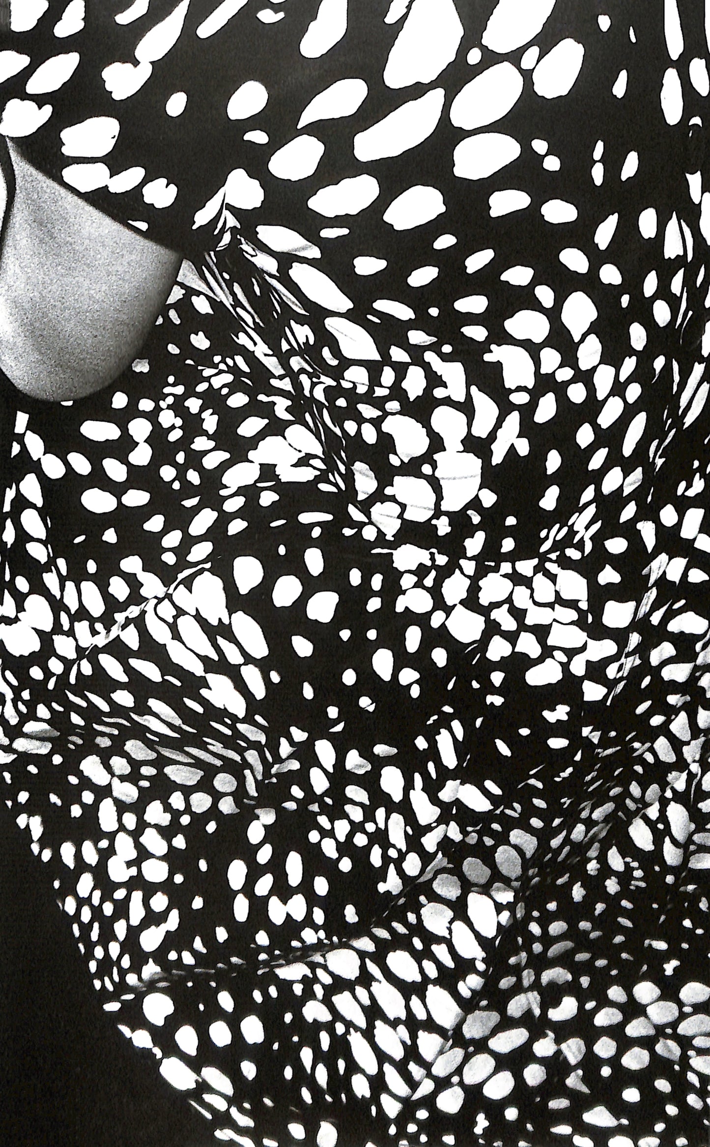 DAIDO MORIYAMA / Imitations