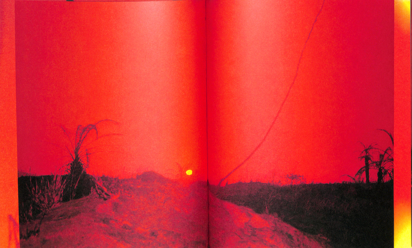 ADÉL KOLESZÁR / Only Have Faith