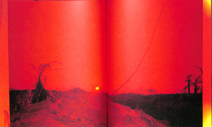 ADÉL KOLESZÁR / Only Have Faith