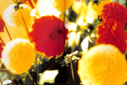 NAN GOLDIN, DAVID ARMSTRONG, MARK MORRISROE, JACK PIERSON, PHILIP-LORCA diCORCIA / Emotions & Relations