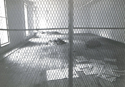 CAROLINE TISDALL / JOSEPH BEUYS: COYOTE