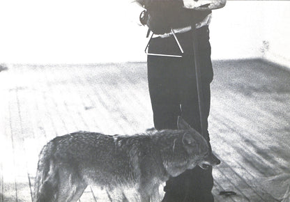 CAROLINE TISDALL / JOSEPH BEUYS: COYOTE