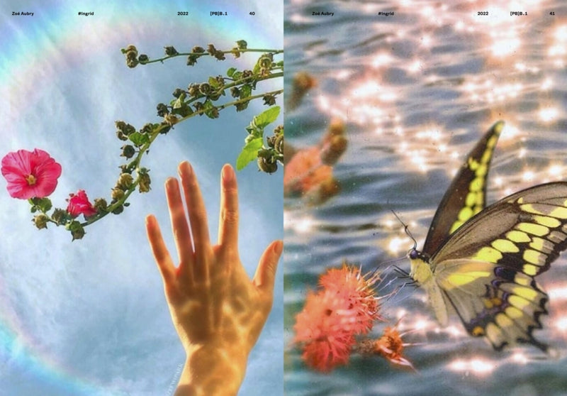 FOTOMUSEUM WINTERHUR Ed. / The Lure of the Image