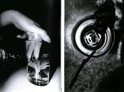 DAIDO MORIYAMA / Shinobu (signed)