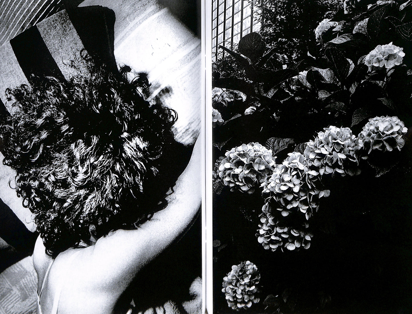 DAIDO MORIYAMA / Shinobu (signed)