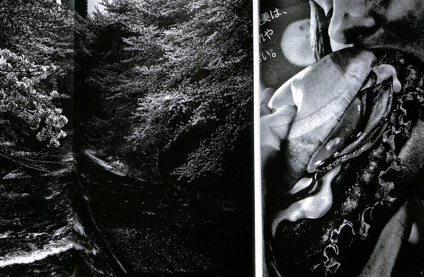 DAIDO MORIYAMA / Naomi (signed)