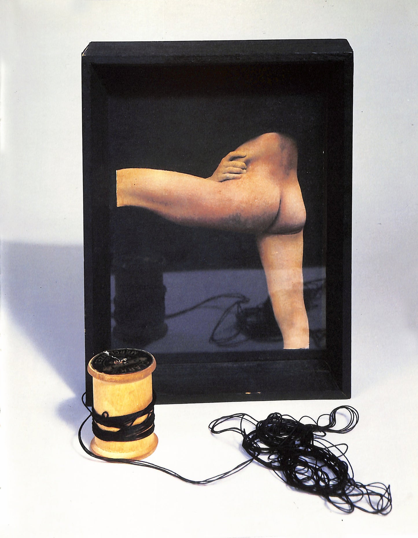 ROBERT MAPPLETHORPE / Early Works 1970 - 1974