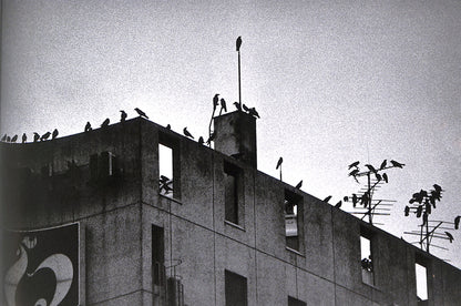 MASAHISA FUKASE / Ravens