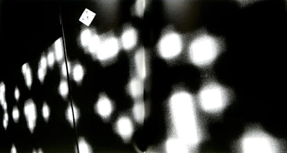 DAIDO MORIYAMA / The Tokyo Toilet