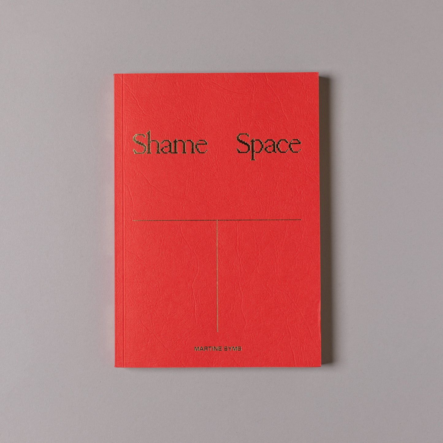 MARTINE SYMS / Shame Space